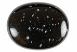 Snowflake Obsidian Pocket Stones - Photo 3